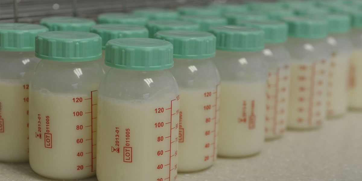 Rows of bottled milk